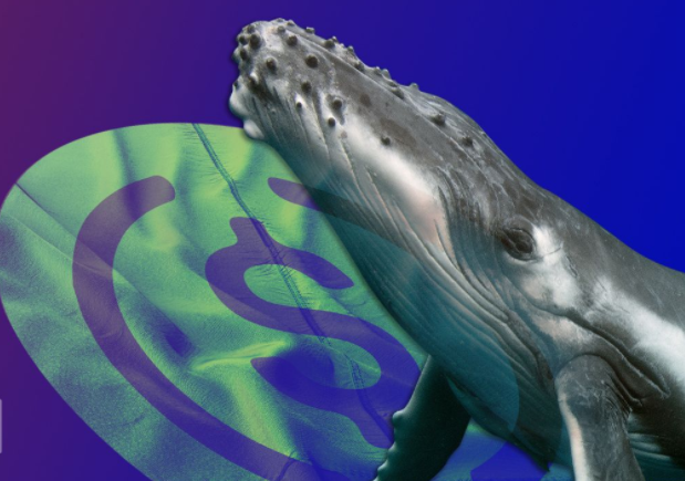 「tokenpocket大陆解除限制」Coinbase 在美国以外发展 USDC 稳定币